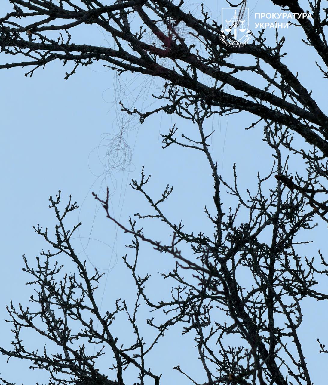 Новая угроза? Что означает появление дрона на оптоволокне в небе над Харьковом